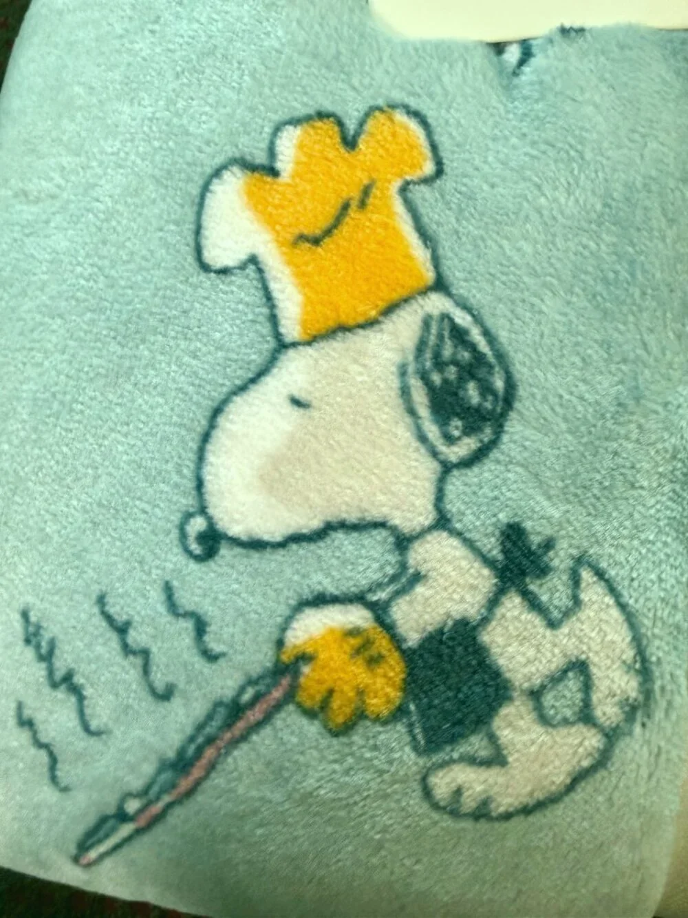 Snoopy Peanuts Summer Beach Berkshire Blue Throw 60x70 NWT